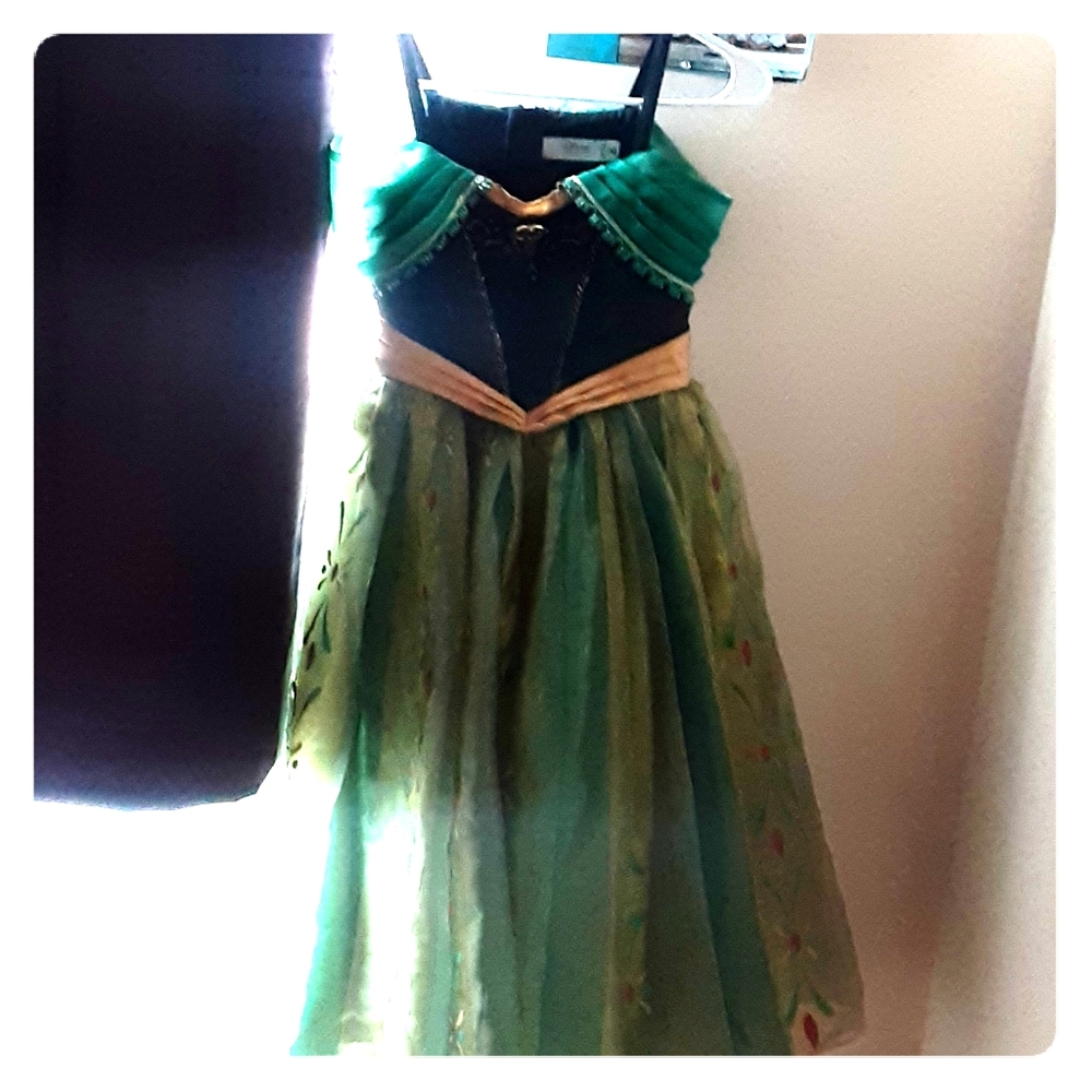 Disney Anna's gown